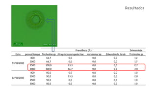 Resultados




                                                          Prevalência (%)                                 Intensidade
  Data       peixes/tanque Trichodina sp. Streptococcus agalactiae   Aeromonas sp.   Edwardsiella tarda   Trichodina sp.
                 800            66,7                0,0                     0,0             0,0                1,2
                 2000           66,7                0,0                     0,0             0,0                1,7
03/11/2010
                 2500          100,0               33,3                     0,0             0,0                2,7
                 3000          100,0               66,7                     0,0             0,0                3,0
                 800            50,0                0,0                     0,0             0,0                1,0
                 2000           50,0               33,3                     0,0             0,0                2,0
22/11/2010
                 2500           50,0                0,0                     0,0             0,0                1,0
                 3000           50,0                0,0                     0,0             0,0                1,0
 