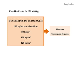 Resultados


Fase II – Peixes de 250 a 800 g



DENSIDADES DE ESTOCAGEM

    100 kg/m3 sem classificar
                                       Biomassa
            80 kg/m3
                                  Tempo para despesca
            100 kg/m3

            120 kg/m3
 