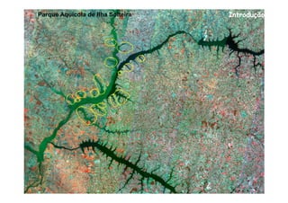 Parque Aquícola de Ilha Solteira   Introdução
 