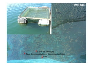 Introdução




           Custo de produção
Taxa de mortalidade em determinadas fases
                  Lucro
 
