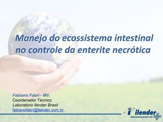 Manejo do ecossistema intestinal
no controle da enterite necrótica

Fabiano Fabri - MV.
Coordenador Técnico
Laboratório Ilender Brasil
fabianofabri@ilender.com.br

 