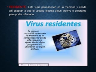 • RESIDENTE:RESIDENTE: Este virus permanecen en la memoria y desdeEste virus permanecen en la memoria y desde
allí esperan a que el usuario ejecute algún archivo o programaallí esperan a que el usuario ejecute algún archivo o programa
para poder infectarlo.para poder infectarlo.
 