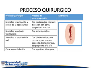 PROCESO QUIRURGICO
Proceso Quirúrgico Proceso de
Instrumentación
Ilustración
Se realiza visualización y
sutura de la aponeurosis
Con portaagujas, pinza de
disección con garra,
poliglactina 910 0-1
Se realiza lavado del
tejido graso
Con solución salina
Se realiza la sutura de la
piel
Con pinza de disección
con garra, portaagujas
pequeño, tijera de mayo,
polipropileno 2/0-3/0
Curación de la herida Con apósitos, Micropore
 