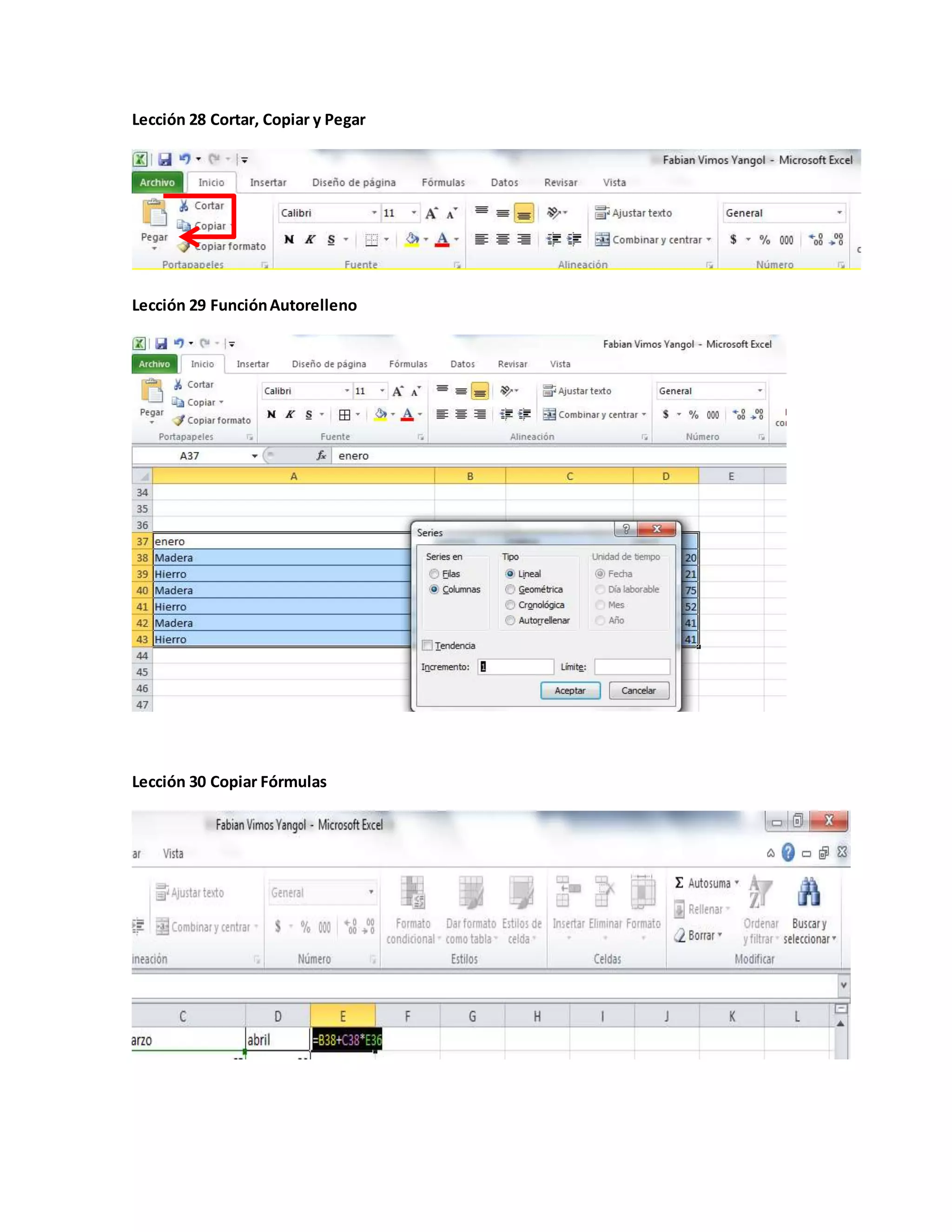 Lección 28 Cortar, Copiar y Pegar
Lección 29 FunciónAutorelleno
Lección 30 Copiar Fórmulas
 