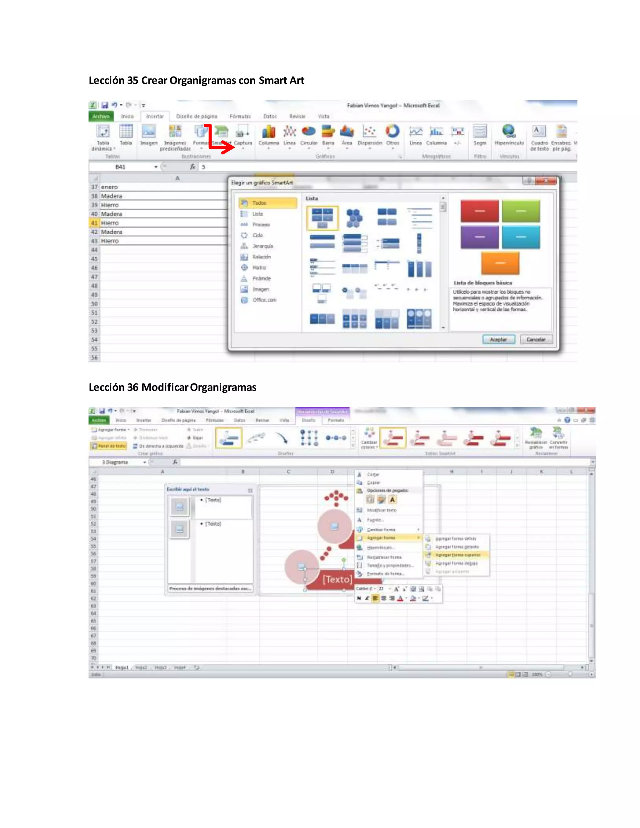 Lección 35 Crear Organigramas con Smart Art
Lección 36 ModificarOrganigramas
 