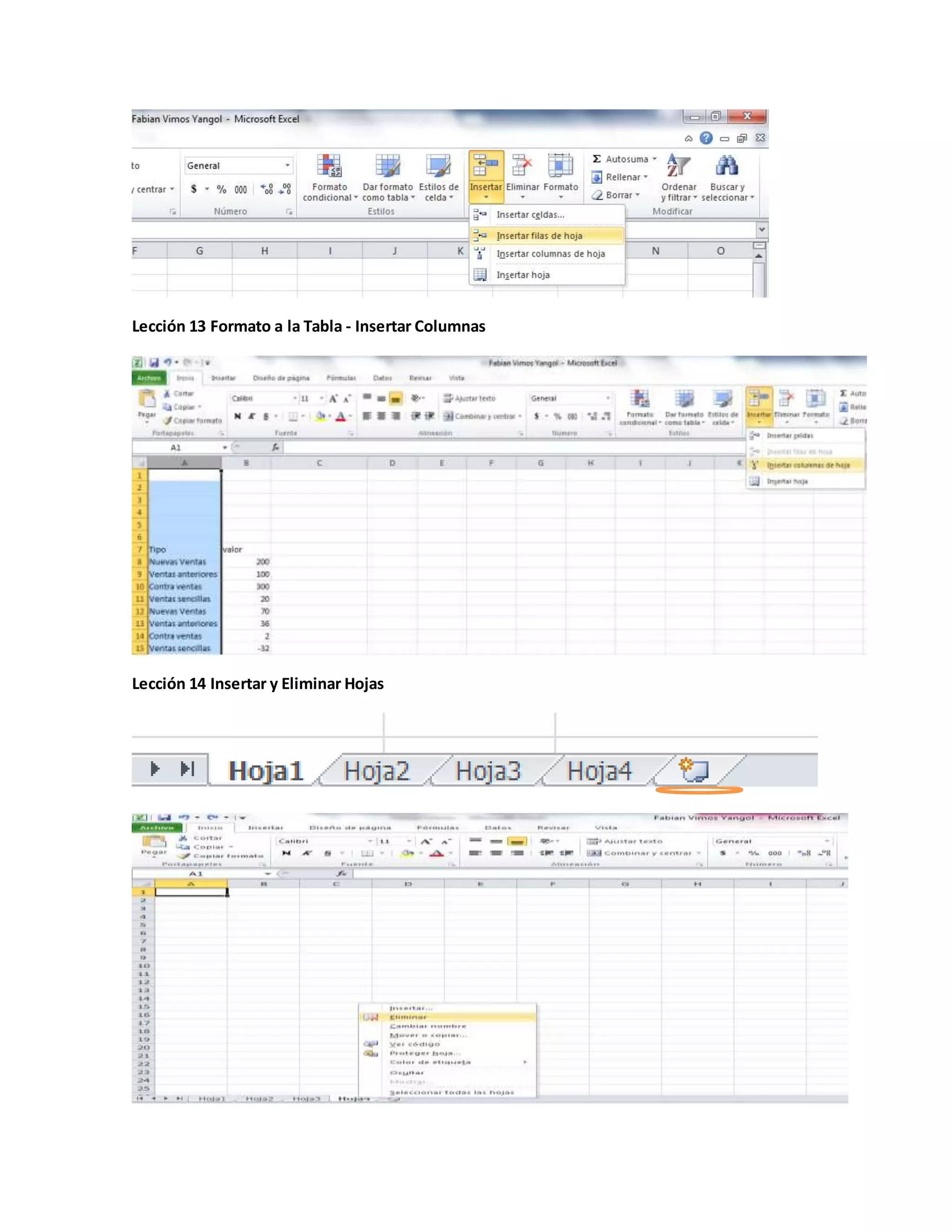 Lección 13 Formato a la Tabla - Insertar Columnas
Lección 14 Insertar y Eliminar Hojas
 