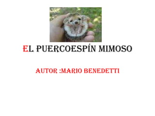 El puercoespín mimoso Autor :Mario Benedetti 