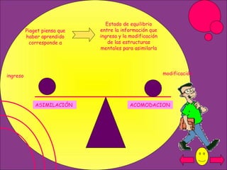 ASIMILACIÓN ACOMODACION Piaget piensa que haber aprendido corresponde a Estado de equilibrio entre la información que ingresa y la modificación de las estructuras mentales para asimilarla ingreso modificación 