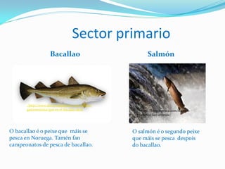 Sector primario
Bacallao Salmón
O bacallao é o peixe que máis se
pesca en Noruega. Tamén fan
campeonatos de pesca de bacallao.
: http://www.directoalpaladar.com/cultura-
gastronomica/que-es-el-bacalao-skrei http://blogdepesca.com/salmon-
contra-la-corriente/
O salmón é o segundo peixe
que máis se pesca despois
do bacallao.
 