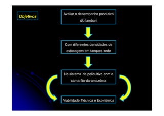Avaliar o desempenho produtivo
Objetivos
                      do lambari




             Com diferentes densidades de
              estocagem em tanques-rede




            No sistema de policultivo com o
                camarão-da-amazônia




            Viabilidade Técnica e Econômica
 