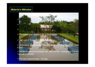 Material e Métodos



       Experimento realizado UPD Pirassununga

       Tanque escavado de 180 m2 com renovação de 10% ao dia

       Alocados 12 tanques-rede de 1 m3            _ 80 pxs
                                                   _ 160 pxs
       Povoados com lambaris em 3 densidades
                                                   _ 320 pxs
       DIC com 3 Tratamentos e 4 Repetições

       Densidade de estocagem dos camarões = 14 pós-larvas/m2 (Total
     2.520)

       Ração comercial extrusada com 36% de PB, Lambaris 2 X ao dia
     1,5% da biomassa

       Período Experimental = 90 dias
 