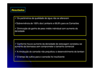 Resultados


    Os parâmetros de qualidade de água não se alteraram

   Sobrevivência de 100% dos Lambaris e 69,8% para os Camarões

    Diminuição do ganho de peso médio individual com aumento da
  densidade




    Conforme houve aumento da densidade de estocagem constatou-se
  aumento da biomassa sem comprometer o tamanho comercial

    A introdução do camarão não prejudicou o desenvolvimento do lambari

    O tempo de cultivo para o camarão foi insuficiente
 