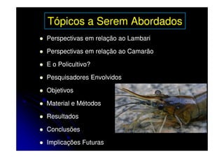 Tópicos a Serem Abordados
Perspectivas em relação ao Lambari

Perspectivas em relação ao Camarão

E o Policultivo?

Pesquisadores Envolvidos

Objetivos

Material e Métodos

Resultados

Conclusões

Implicações Futuras
 