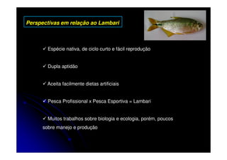 Perspectivas em relação ao Lambari



        Espécie nativa, de ciclo curto e fácil reprodução


        Dupla aptidão


        Aceita facilmente dietas artificiais


        Pesca Profissional x Pesca Esportiva = Lambari


        Muitos trabalhos sobre biologia e ecologia, porém, poucos
      sobre manejo e produção
 