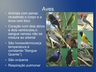 Aves
●   Animais com penas
    revestindo o corpo e a
    boca com bico
●   Coração com dois átrios
    e dois ventriculos,o
    sangue venoso não se
    mistura ao arterial
●   São homeotérmicos(a
    temperatura é
    constante-”Sangue
    Quente”)
●   São ovíparos
●   Respiração pulmonar
 