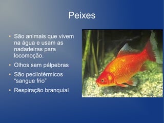 Peixes

●   São animais que vivem
    na água e usam as
    nadadeiras para
    locomoção.
●   Olhos sem pálpebras.
●   São pecilotérmicos
    “sangue frio”
●   Respiração branquial
 