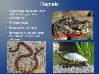 Repteis
●   Animais que rastejam, com
    pele seca e glândulas
    sudoríparas
●   Pecilotérmicos
●   Respiração pulmonar
●   Reprodução sexuada com
    fecundação interna,são      Crocodilianos
    ovíparos




                                    Quelônios
          Escamados
 