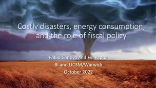 Costly disasters, energy consumption,
and the role of fiscal policy
Fabio Canova and Evi Pappa
BI and UC3M/Warwick
October 2022
 