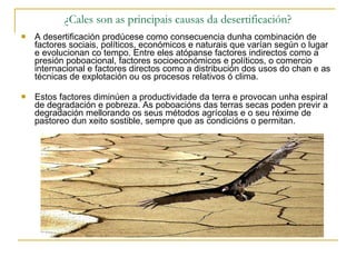 ¿Cales son as principais causas da desertificación? A desertificación prodúcese como consecuencia dunha combinación de factores sociais, políticos, económicos e naturais que varían según o lugar e evolucionan co tempo. Entre eles atópanse factores indirectos como a presión poboacional, factores socioeconómicos e políticos, o comercio internacional e factores directos como a distribución dos usos do chan e as técnicas de explotación ou os procesos relativos ó clima. Estos factores diminúen a productividade da terra e provocan unha espiral de degradación e pobreza. As poboacións das terras secas poden previr a degradación mellorando os seus métodos agrícolas e o seu réxime de pastoreo dun xeito sostible, sempre que as condicións o permitan. 