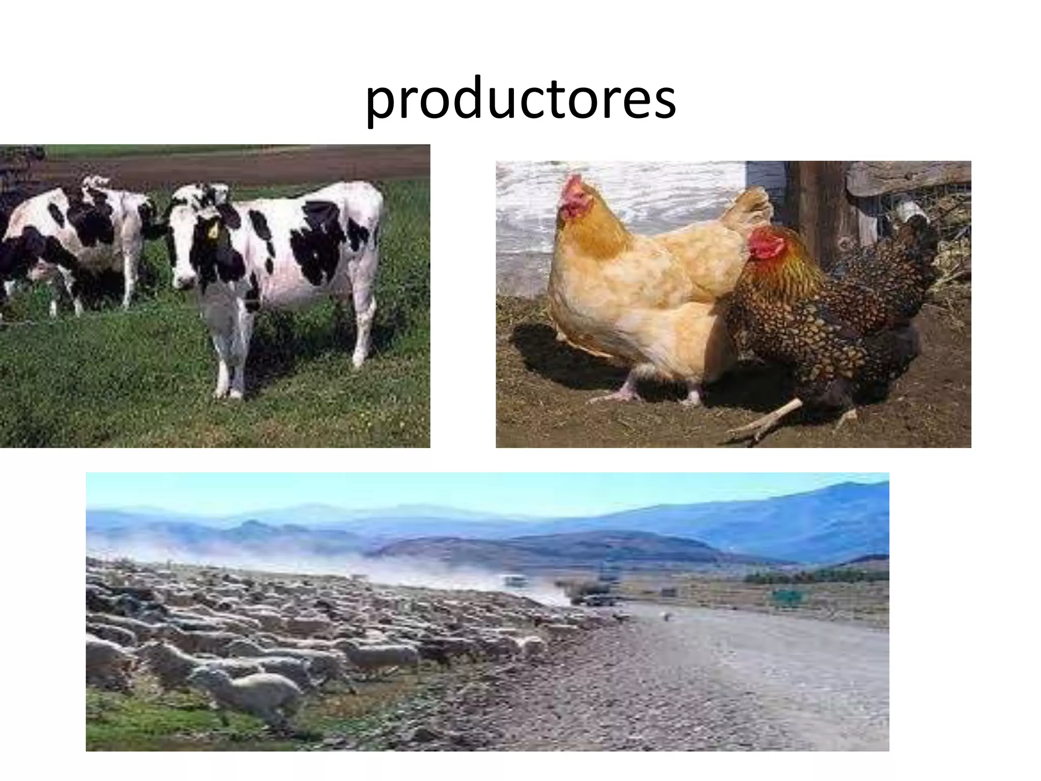 productores