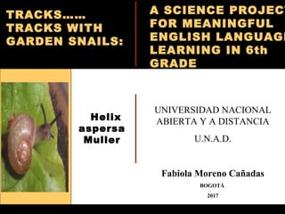 UNIVERSIDAD NACIONAL
ABIERTA Y A DISTANCIA
U.N.A.D.
Fabiola Moreno Cañadas
BOGOTÁ
2017
Helix
aspersa
Muller
A SCIENCE PROJECT
FOR MEANINGFUL
ENGLISH LANGUAGE
LEARNING IN 6th
GRADE
TRACKS……
TRACKS WITH
GARDEN SNAILS:
 
