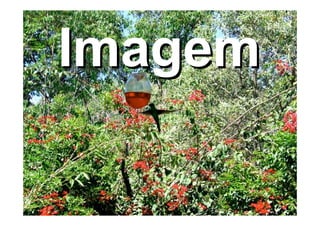 Fabiomestriner Apresentacao