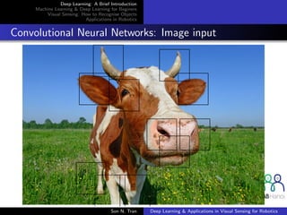 Deep Learning: A Brief Introduction
Machine Learning & Deep Learning for Beginers
Visual Sensing: How to Recognise Objects
Applications in Robotics
Convolutional Neural Networks: Image input
Son N. Tran Deep Learning & Applications in Visual Sensing for Robotics
 
