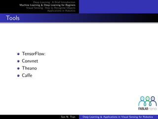 Deep Learning: A Brief Introduction
Machine Learning & Deep Learning for Beginers
Visual Sensing: How to Recognise Objects
Applications in Robotics
Tools
TensorFlow:
Convnet
Theano
Caﬀe
Son N. Tran Deep Learning & Applications in Visual Sensing for Robotics
 