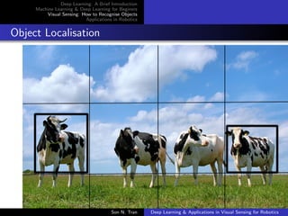 Deep Learning: A Brief Introduction
Machine Learning & Deep Learning for Beginers
Visual Sensing: How to Recognise Objects
Applications in Robotics
Object Localisation
Son N. Tran Deep Learning & Applications in Visual Sensing for Robotics
 
