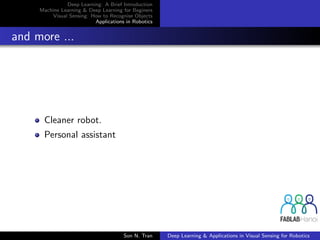 Deep Learning: A Brief Introduction
Machine Learning & Deep Learning for Beginers
Visual Sensing: How to Recognise Objects
Applications in Robotics
and more ...
Cleaner robot.
Personal assistant
Son N. Tran Deep Learning & Applications in Visual Sensing for Robotics
 