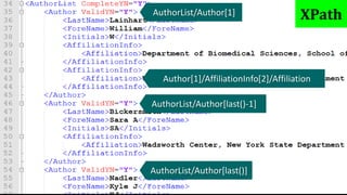 XPath
AuthorList/Author[1]
Author[1]/AffiliationInfo[2]/Affiliation
AuthorList/Author[2]AuthorList/Author[last()-1]
AuthorList/Author[last()]
XPath
 