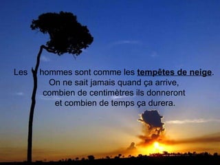 Les  hommes sont comme les  tempêtes de neige .  On ne sait jamais quand ça arrive,  combien de centimètres ils donneront  et combien de temps ça durera. 