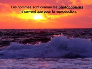 Les hommes sont comme les  photocopieurs .  Ils servent que pour la reproduction.    