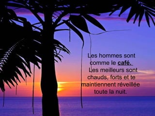 Les hommes sont comme le  café.     Les meilleurs sont chauds, forts et te maintiennent réveillée  toute la nuit.  