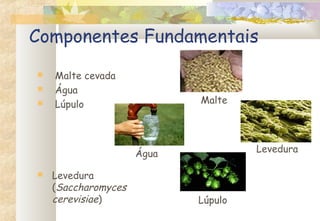 Componentes Fundamentais
 Malte cevada
 Água
 Lúpulo
 Levedura
(Saccharomyces
cerevisiae)
Levedura
Lúpulo
Malte
Água
 