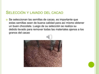 SELECCIÓN Y LAVADO DEL CACAO
 Se seleccionan las semillas de cacao, es importante que
estas semillas sean de buena calidad para así mismo obtener
un buen chocolate. Luego de su selección se realiza su
debido lavado para remover todas las materiales ajenos a los
granos del cacao
 