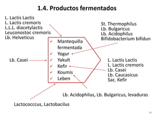 1.4. Productos fermentados
11
 Mantequilla
fermentada
 Yogur
 Yakult
 Kefir
 Koumis
 Leben
L. Lactis Lactis
L. Lactis cremoris
L.L.L. diacetylactis
Leuconostoc cremoris
Lb. Helveticus
St. Thermophilus
Lb. Bulgaricus
Lb. Acidophilus
Bifidobacterium bifidun
Lb. Casei L. Lactis Lactis
L. Lactis cremoris
Lb. Casei
Lb. Caucasicus
Sac. Kefir
Lb. Acidophilus, Lb. Bulgaricus, levaduras
Lactococccus, Lactobacilus
 
