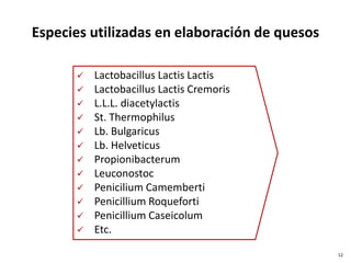 12
Especies utilizadas en elaboración de quesos
 Lactobacillus Lactis Lactis
 Lactobacillus Lactis Cremoris
 L.L.L. diacetylactis
 St. Thermophilus
 Lb. Bulgaricus
 Lb. Helveticus
 Propionibacterum
 Leuconostoc
 Penicilium Camemberti
 Penicillium Roqueforti
 Penicillium Caseicolum
 Etc.
 