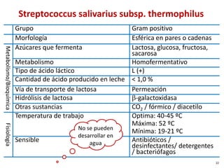 Streptococcus salivarius subsp. thermophilus
Grupo Gram positivo
Morfología Esférica en pares o cadenas
Metabolismo/Bioquímica
Azúcares que fermenta Lactosa, glucosa, fructosa,
sacarosa
Metabolismo Homofermentativo
Tipo de ácido láctico L (+)
Cantidad de ácido producido en leche < 1,0 %
Vía de transporte de lactosa Permeación
Hidrólisis de lactosa β-galactoxidasa
Otras sustancias CO2 / fórmico / diacetilo
Fisiología
Temperatura de trabajo Optima: 40-45 ºC
Máxima: 52 ºC
Mínima: 19-21 ºC
Sensible Antibióticos /
desinfectantes/ detergentes
/ bacteriófagos
No se pueden
desarrollar en
agua
22
 