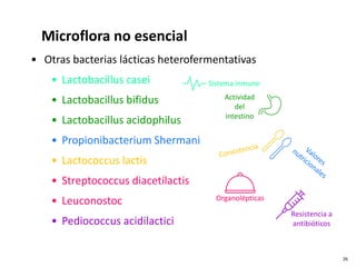 • Otras bacterias lácticas heterofermentativas
• Lactobacillus casei
• Lactobacillus bifidus
• Lactobacillus acidophilus
• Propionibacterium Shermani
• Lactococcus lactis
• Streptococcus diacetilactis
• Leuconostoc
• Pediococcus acidilactici
Actividad
del
intestino
Organolépticas
Resistencia a
antibióticos
Sistema inmune
Microflora no esencial
26
 