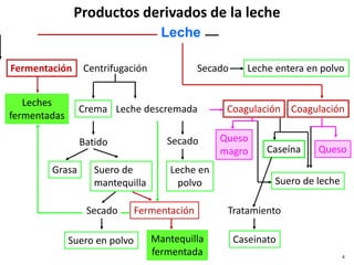 Productos derivados de la leche
Fermentación Centrifugación Secado Leche entera en polvo
Coagulación
Leche descremada
Crema
Leches
fermentadas
Queso
Caseína
Queso
magro
Suero de leche
Tratamiento
Caseinato
Batido
Suero de
mantequilla
Grasa
Secado
Leche en
polvo
Fermentación
Mantequilla
fermentada
Suero en polvo
Coagulación
Leche
Secado
4
 