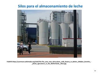 Silos para el almacenamiento de leche
FUENTE:https://commons.wikimedia.org/wiki/File:The_new_new_dairy-plant,_milk_factory_in_Beilen;_Midden_Drenthe_-
_photo_agriculture_in_the_Netherlands,_2012.jpg
44
 