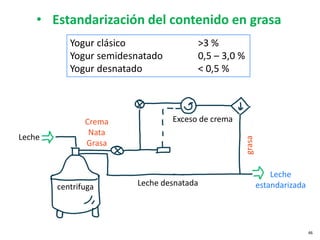 Yogur clásico >3 %
Yogur semidesnatado 0,5 – 3,0 %
Yogur desnatado < 0,5 %
• Estandarización del contenido en grasa
Crema
Nata
Grasa
Leche desnatada
Exceso de crema
Leche
estandarizada
Leche
centrifuga
grasa
46
 