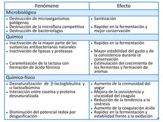 Fenómeno Efecto
Microbiológico
 Destrucción de microorganismos
patógenos
 Destrucción de la microflora competitiva
 Destrucción de bacteriofagos
 Sanitización
 Rapidez en la fermentación y
mejor conservación
Químico
 Inactivación de la mayor parte de las
sustancias antibacterianas naturales
 Inactivación de lipasas y proteasas
 Caramelización de la lactosa con
formación de ácido fórmico
 Rapidez en la fermentación
 Mayor estabilidad del gusto y de
la consistencia durante la
conservación
 Estimulación del crecimiento de
los fermentos y formación de
aromas
Químico-físico
 Desnaturalización de β-lactoglobulina y
α-lactoalbúmina
 Interacción entre caseína y proteína
desnaturalizada
 Disminución del potencial redox por
desgasificación
 Aumento de la cremosidad del
yogur
 Mejora de la consistencia y
viscosidad del coagulo
 Reducción de la tendencia a la
sinéresis
 Aumento de la coagulación ácida
 Rapidez en la fermentación y
estabilidad frente a la oxidación 50
 