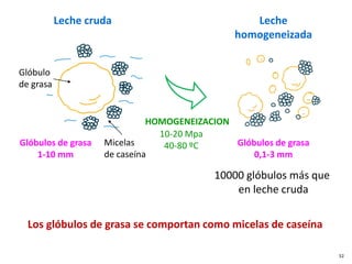 Los glóbulos de grasa se comportan como micelas de caseína
HOMOGENEIZACION
Leche
homogeneizada
Glóbulos de grasa
0,1-3 mm
10000 glóbulos más que
en leche cruda
Leche cruda
Glóbulos de grasa
1-10 mm
Micelas
de caseína
Glóbulo
de grasa
10-20 Mpa
40-80 ºC
52
 