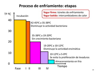 Proceso de enfriamiento: etapas
60
0
10
20
30
40
Incubación
Tiempo
Fase I II III IV
Tª ºC
42-45ºC a 35-38ºC
Disminuye la actividad bacteriana
35-38ºC a 19-20ºC
Sin crecimiento bacteriano
19-20ºC a 10-12ºC
Disminuye la actividad enzimática
10-12ºC a 5-0ºC
Se evita la proliferación de levaduras
Almacenamiento en frio
Yogur firme: túneles de enfriamiento
Yogur batido: intercambiadores de calor
 