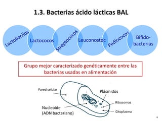 Grupo mejor caracterizado genéticamente entre las
bacterias usadas en alimentación
1.3. Bacterias ácido lácticas BAL
Lactococos Leuconostoc
Bifido-
bacterias
8
Nucleoide
(ADN bacteriano)
Plásmidos
Citoplasma
Ribosomas
Pared celular
 