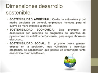 Dimensiones desarrollo
sostenible
• SOSTENIBILIDAD AMBIENTAL: Cuidar la naturaleza y del
medio ambiente en general, empleando métodos para el
cultivo de maní evitando la erosión
• SOSTENIBILIDAD
ECONOMICA:
Este
proyecto se
desarrollara con recursos de programas de incentivo de
pymes como los créditos de Bancamia , para mayor ahorro en
el proceso.
• SOSTENIBILIDAD SOCIAL: El proyecto busca generar
empleo en la población, mas vulnerable e incentivar
programas de capacitación que genere un crecimiento tanto
económico como académico.

 