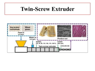 Twin-Screw Extruder
 