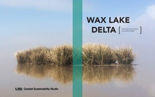 Fabricating the Delta 2
WAX LAKE
DELTA [ ]Fabricating the Delta
LSU ARCH 4993
 